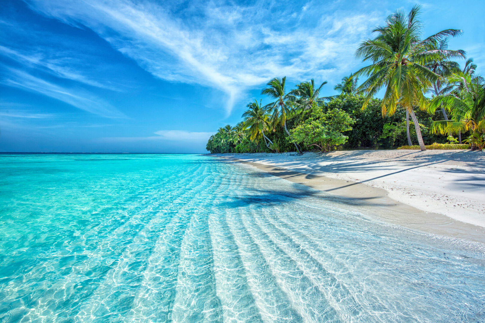 A beach with palm trees and clear water