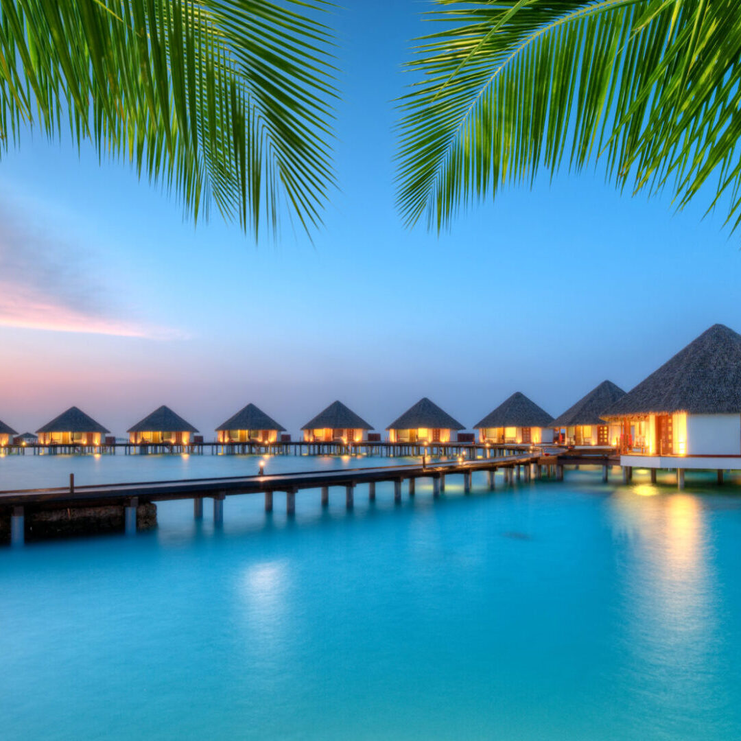 A row of palm trees and some water huts